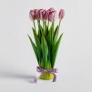 Compozitie florala TULIP