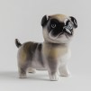 Pusculita PUGA