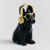 Pusculita DJDOG