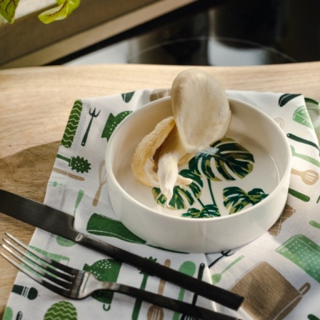 Platou decorativ PLANTO