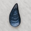 Platou decorativ SHELL