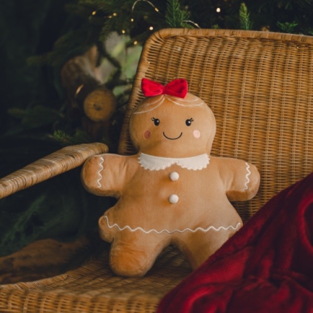 Perna copii GINGERNINA