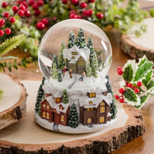 Glob de zapada muzical FANI