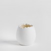 Luminare EGGSHELL