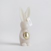 Luminare LAPIN
