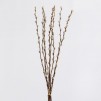 Buchet decorativ CATKINO