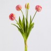 Buchet lalele  TULIPANIS