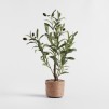 Floare decorativa OLIVESO